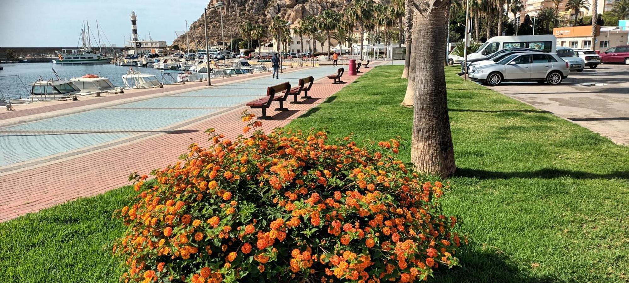 Apartamento Tranquilo Cerca De Buena Piscina Y Con Buen Aire Acondicionado Águilas Eksteriør billede